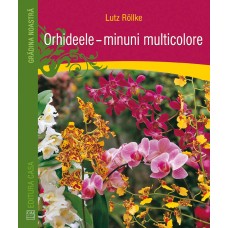 Orhideele – minuni multicolore