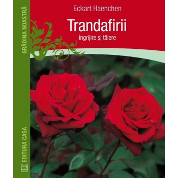 Trandafirii: îngrijire şi tăiere