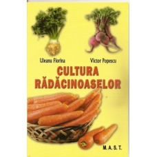 Cultura radacinoaselor (morcov, telina, sfecla rosie, pastarnac, napi comestibili, ridichi, hrean)
