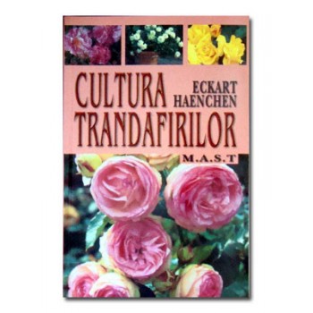 Cultura trandafirilor