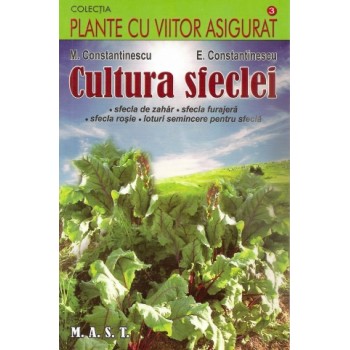 Cultura sfeclei