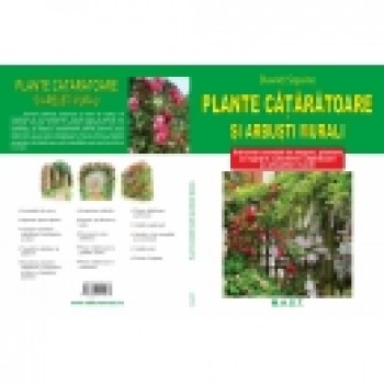 Plante cataratoare si arbusti murali